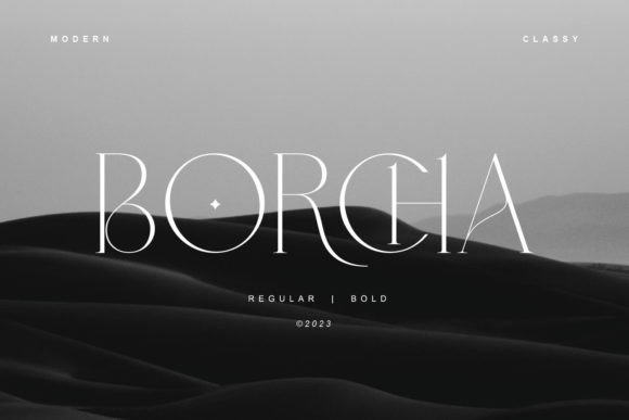 Borcha Font Review: Elevating Campaign Visuals with Style