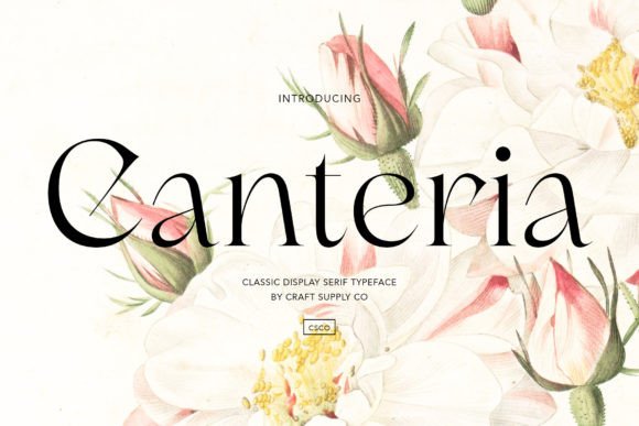 Canteria: A Serif Font for Bold Campaigns
