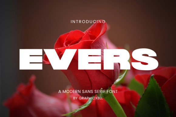 Evers: The Minimalist Sans Serif Font for Clear Campaigns